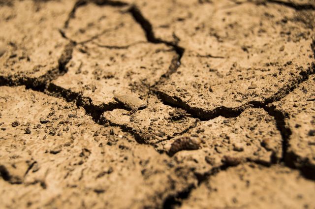 Soil dried by drought